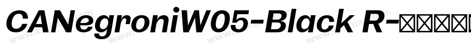 CANegroniW05-Black R字体转换